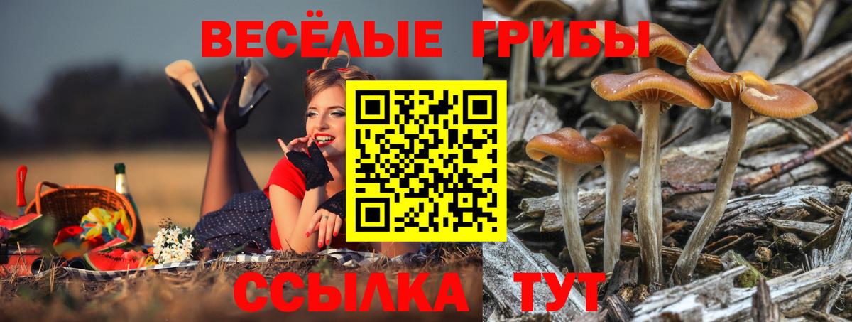 Галлюциногенные грибы Magic Shrooms  Галлюциногенные грибы Psilocybine cubensis  Вход с VPN  Волоколамск 