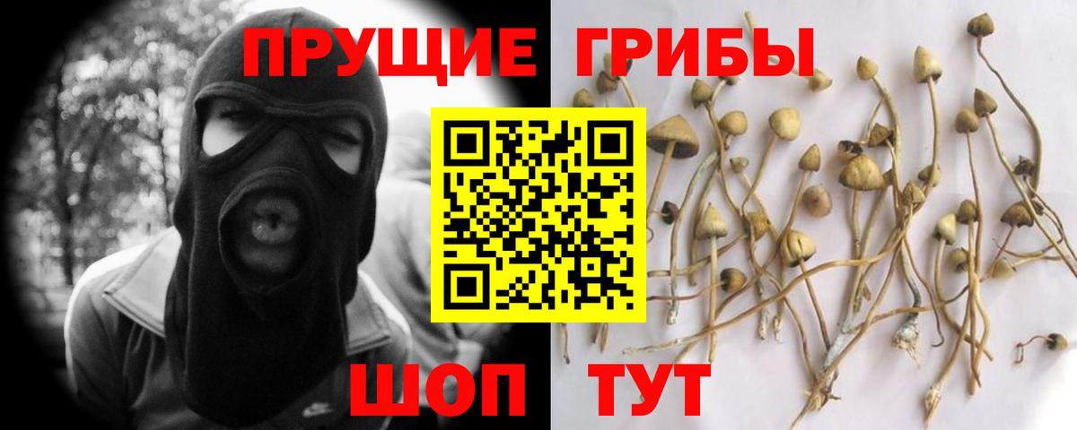 Галлюциногенные грибы прущие грибы Волоколамск